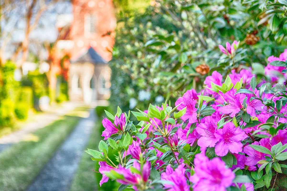 Wortham House Bed and Breakfast Charleston SC